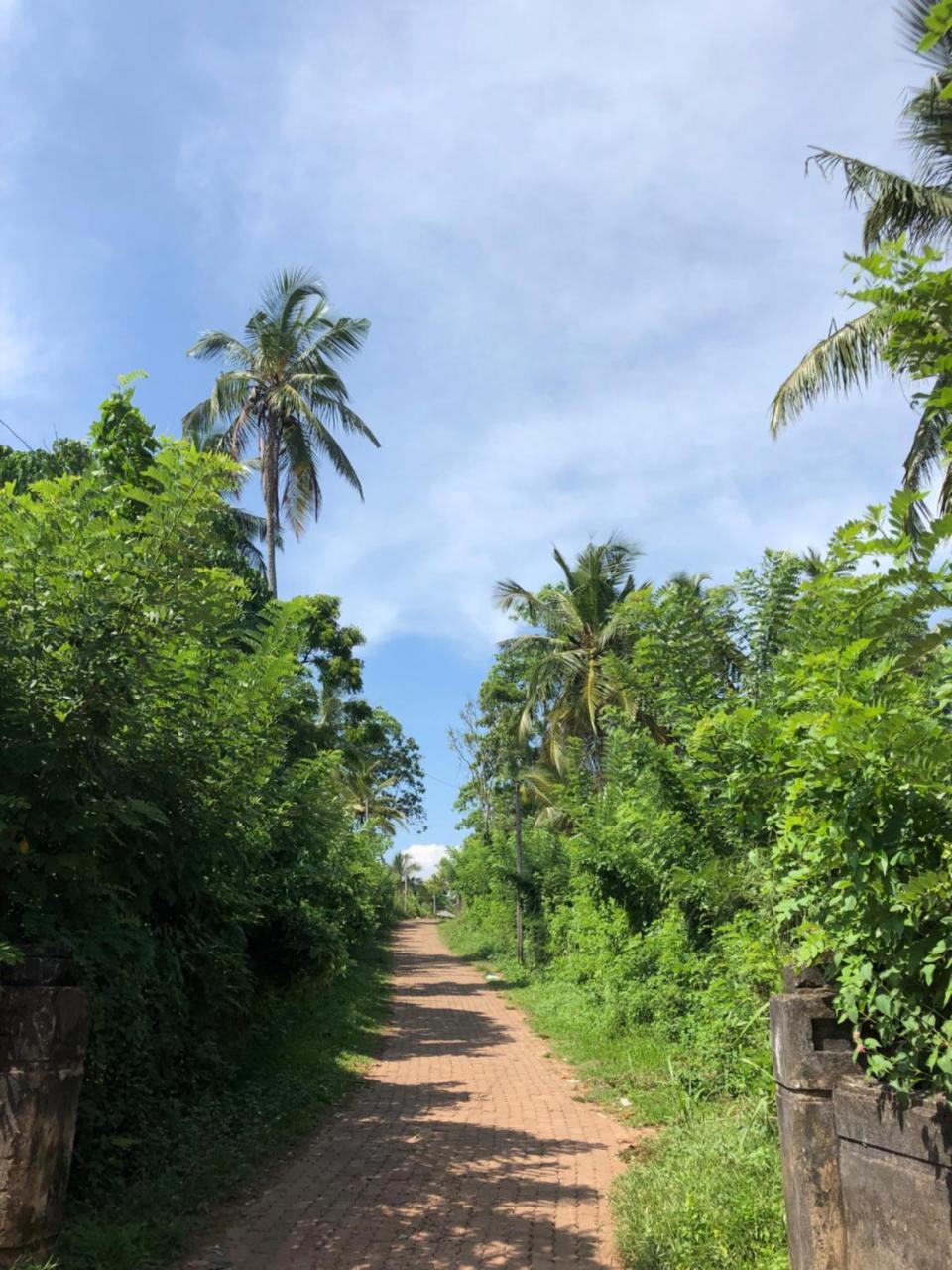 Pitaya Hotel Weligama Bagian luar foto